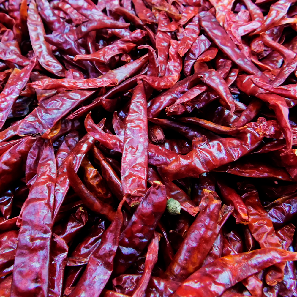 Chile Cambray picoso