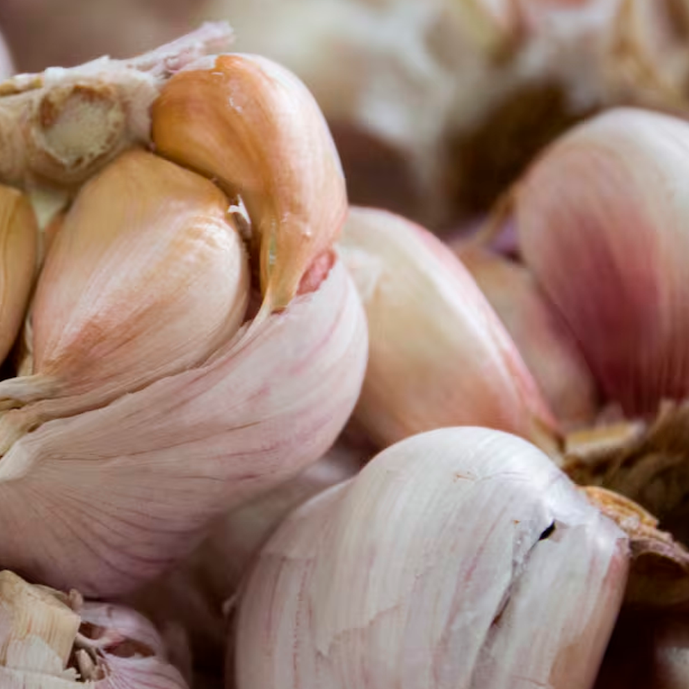 Ajo entero