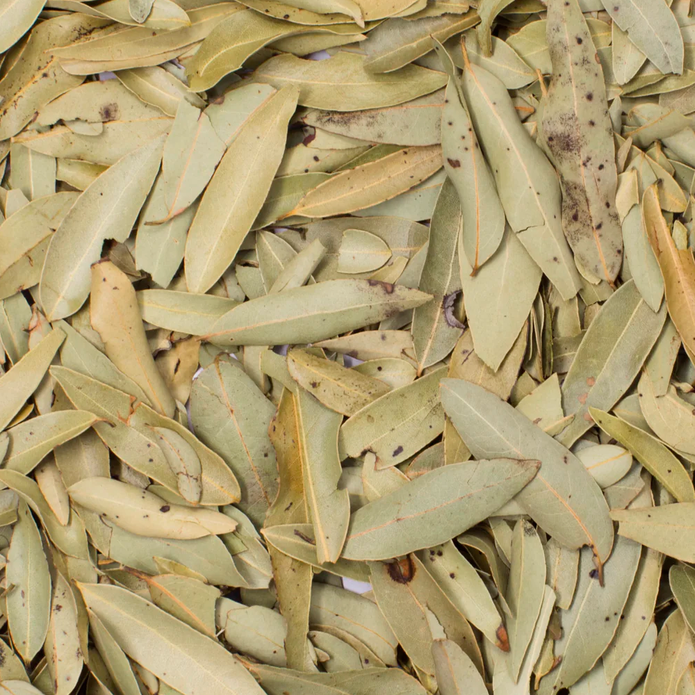 Hoja de laurel